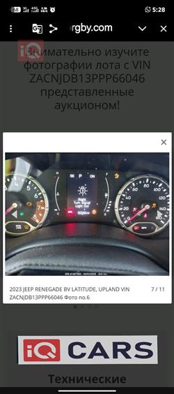 جيب رينيجيد